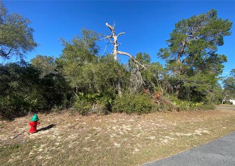 Tbd SW 154th Lane, Ocala, FL 34473