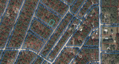 Tbd NE 3rd Place, Williston, FL 32696