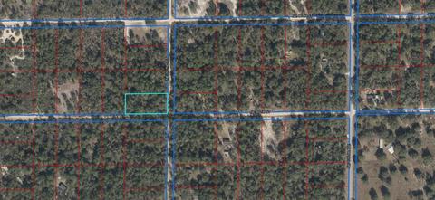Tbd NE 85 Street, Bronson, FL 32621