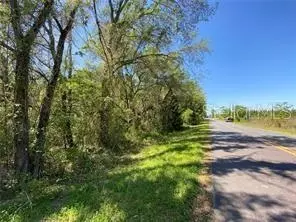 tbd NE 85th St Highway 41, Williston, FL 32696