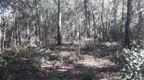00 NE 172 Ter, Silver Springs, FL 34488