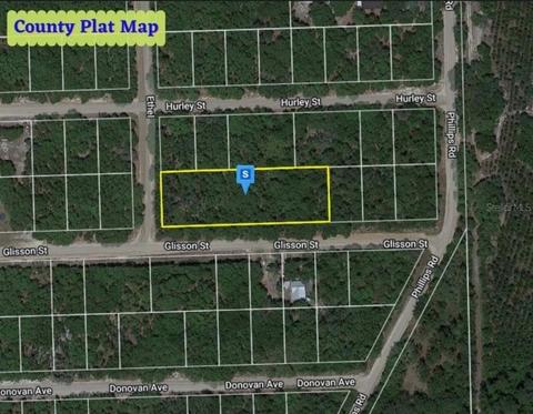 Tbd Glisson, Interlachen, FL 32148