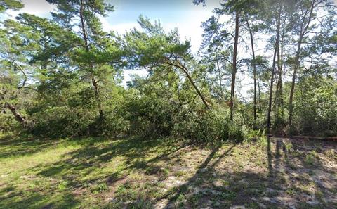 14 Hemlock Radial Loop, Ocala, FL 34473
