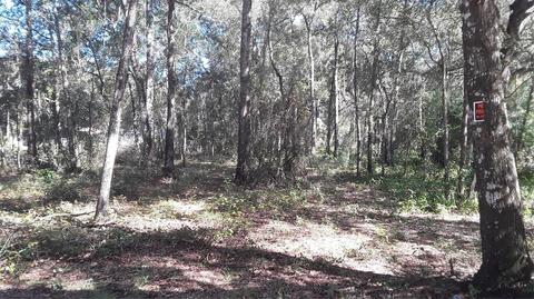 00 SW Southwind Ct, Dunnellon, FL 34431
