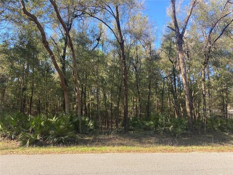Lot 18 SW 73 Loop, Dunnellon, FL 34432