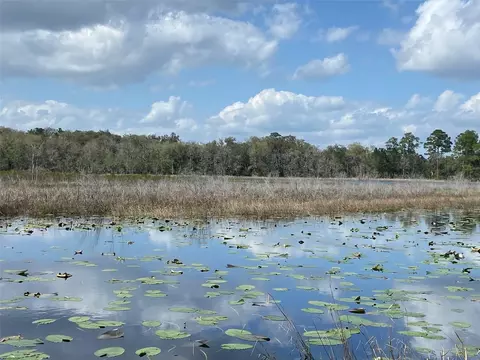 Tbd SE 175th Ct, Ocklawaha, FL 32179