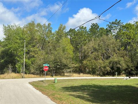 0 Pine Pass Dr, Ocala, FL 34472