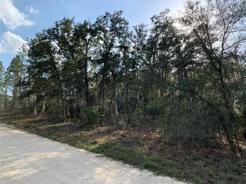 Tbd NE 9th Street, Williston, FL 32696