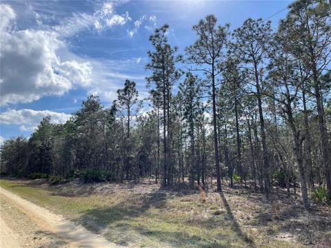 00 SW 135 Ave SW, Dunnellon, FL 34432