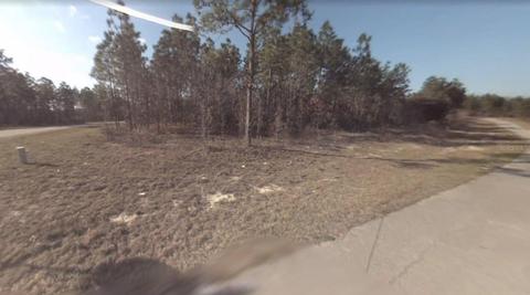 SW 81 Court, Ocala, FL 34473