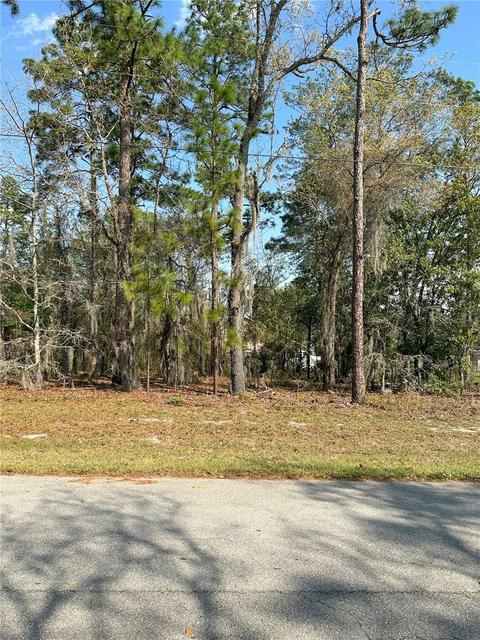 SW 128th Place, Ocala, FL 34473