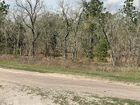 0 SW 81 St, Dunnellon, FL 34432