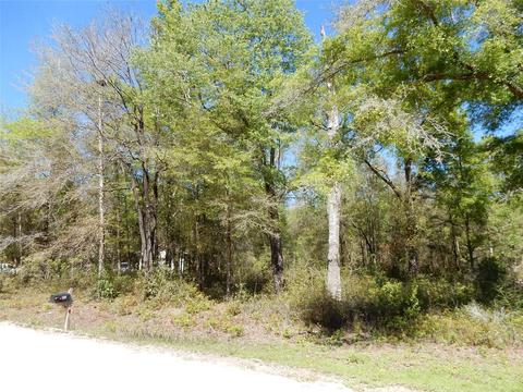 13151 NE 65th Ln, Williston, FL 32696