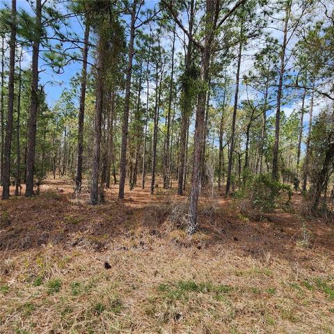 7 Northwest Ridgewood Road, Dunnellon, FL 34431
