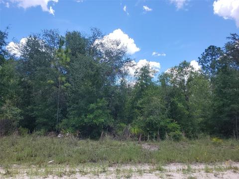 11691 NE 106th Ct, Archer, FL 32618
