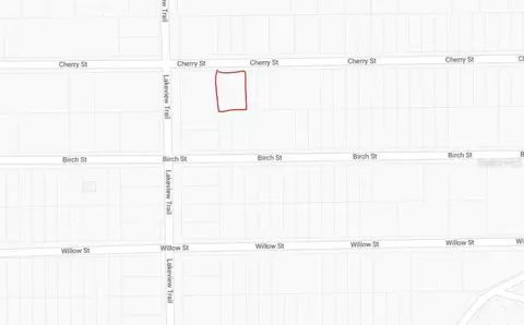 00 Cherry St, Interlachen, FL 32148 photo 3