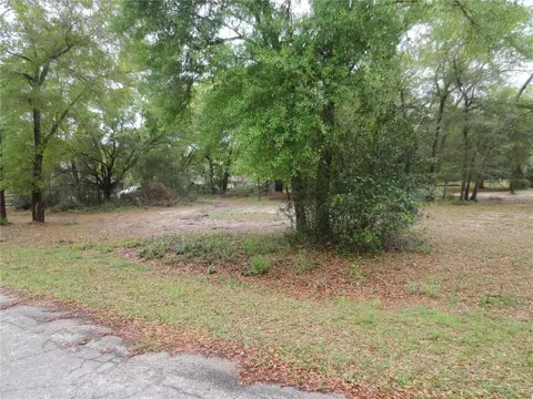 0 SE 161 Ct, Ocklawaha, FL 32179