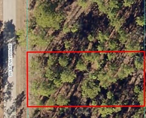 461 SW Buena Vista Rd, Dunnellon, FL 34431