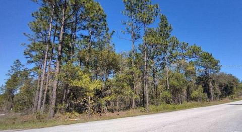 29 Sparrow Road, Dunnellon, FL 34431
