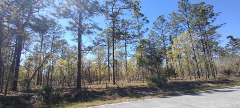 Lot 43 NW Narcissus Road, Dunnellon, FL 34431
