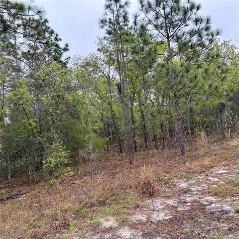 123 SW 66 St, Ocala, FL 34481