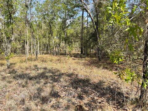 lot6 SE 2 St, Williston, FL 32696 photo 3
