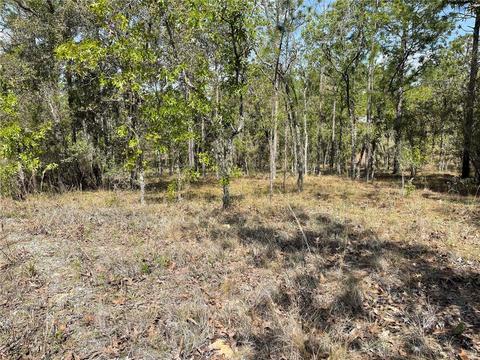 lot6 SE 2 St, Williston, FL 32696 photo 4