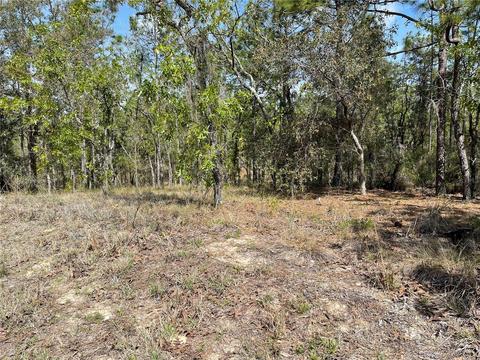 lot6 SE 2 St, Williston, FL 32696 photo 2