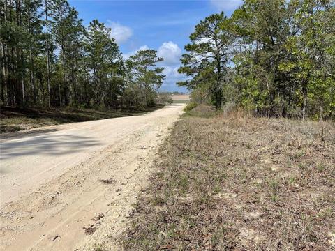 lot6 SE 2 St, Williston, FL 32696 photo 5