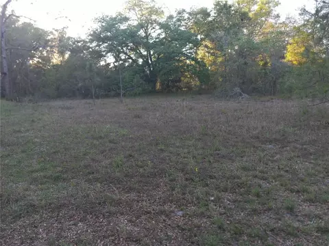 00 NE 141st Ct, Fort Mc Coy, FL 32134
