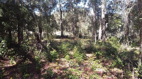 10289 N Coco Plumosa Dr, Crystal River, FL 34428