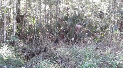 12950 W Almond Pl, Crystal River, FL 34428