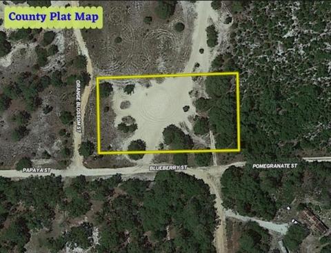 0 Orange Blossom, Pomona Park, FL 32181