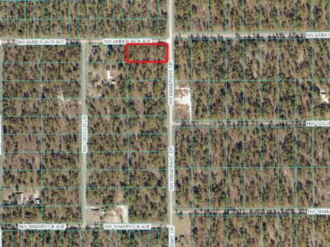 Lot 20 NW Mandrake Drive, Dunnellon, FL 34431