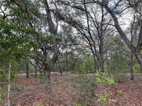 6003 N Matheson Dr, Citrus Springs, FL 34433