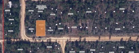 424 Martindale Ave, Interlachen, FL 32148