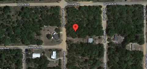 211 Sherman Drive Cir, Interlachen, FL 32148