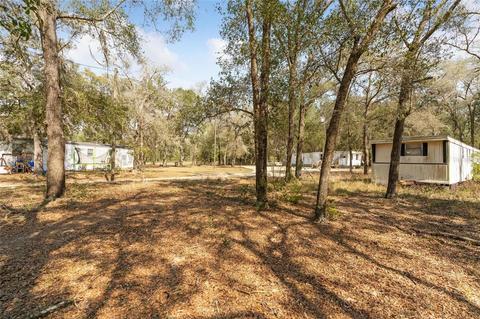 672 East Thrasher Drive, Bronson, FL 32621