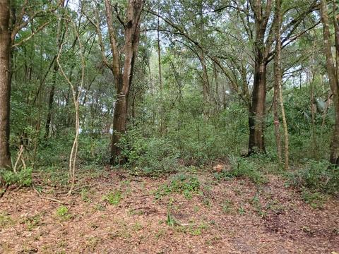 Tbd Se 135th Ct, Weirsdale, FL 32195