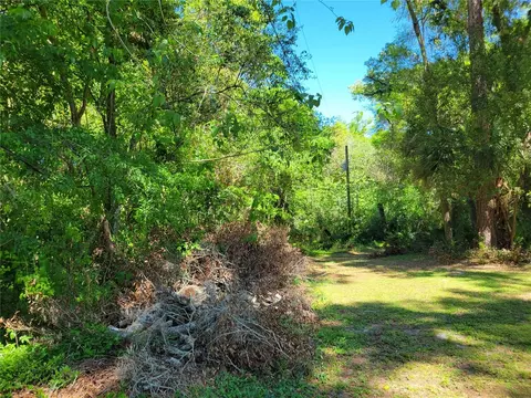 tbd NE 13th Ave, Ocala, FL 34470