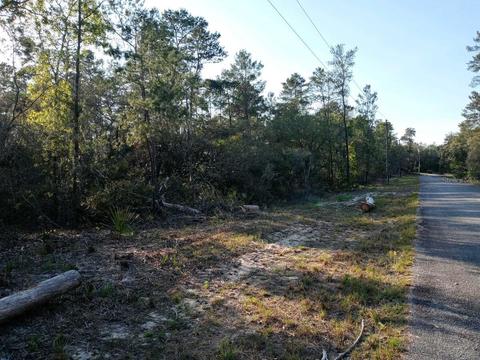 00 Sequoia Trail Ter, Ocklawaha, FL 32179