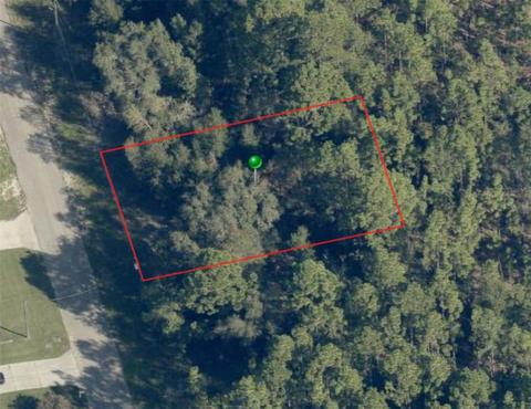 7145 N Heritage Dr, Citrus Springs, FL 34433