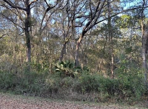 Tbd Sequoia Drive Lane, Ocklawaha, FL 32179