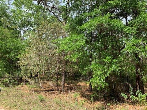 11751 NE 101st Ter, Archer, FL 32618