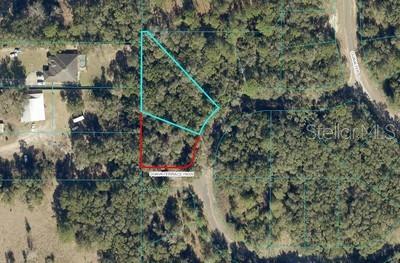 0 Guava Ter Loop Pass, Ocklawaha, FL 32179