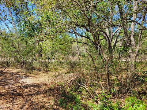 000 Palm St, Lady Lake, FL 32159