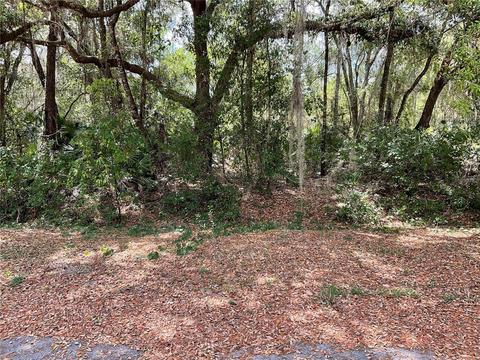 Tbd Malauka Loop, Ocklawaha, FL 32179
