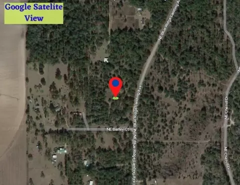 NE Blue Ridge Landing Avenue, Lee, FL 32059