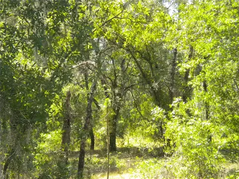 NW Amberjack Avenue, Dunnellon, FL 34431