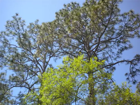 Lot 3 NW Winding Hills Road, Dunnellon, FL 34431